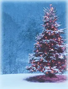 In brief: Tree lighting, holiday concert and more in Bethel Park