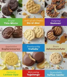 Annual Girl Scout cookie sales set to begin at The Block Northway in Ross