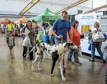 Here are 5 things to do in Pittsburgh this weekend: Nov. 7-9