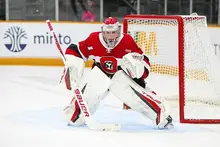 Sewickley native Ryder Fetterolf eager to hear his name in NHL Draft