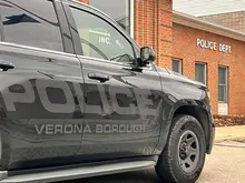 Man accused of trying to pull gun on police in Verona