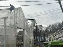 380 Auction back to business in Murrysville after fire in greenhouses