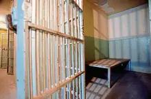 Penn Township woman pleads guilty, sentenced for assaults on police