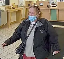 Ohio woman charged in Murrysville bank fraud scheme