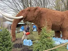 Pittsburgh Zoo &#038; Aquarium to open 'Ice Age: Frozen in Time' exhibit