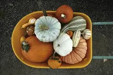 Here are 5 things to do in Pittsburgh this weekend: Sept. 26-28