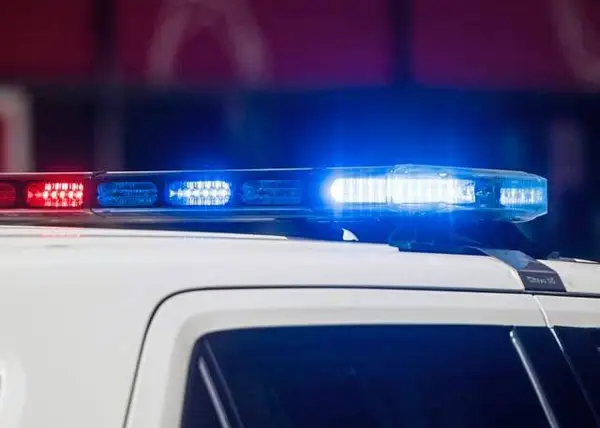 Summer vehicle break-ins have police urging caution