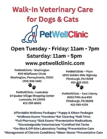 Walk-In Veterinary Care for Dogs & Cats 