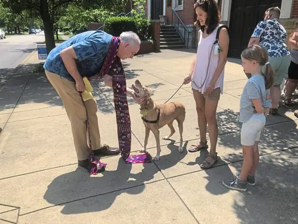 Monroeville area: Blessing of the Pets, summer music camp, barbecue-fest and more