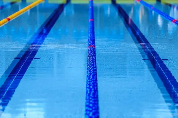 Norwin swim teams bring hard work, enthusiasm