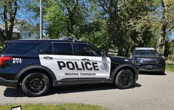 Indiana Township property taxes hold steady