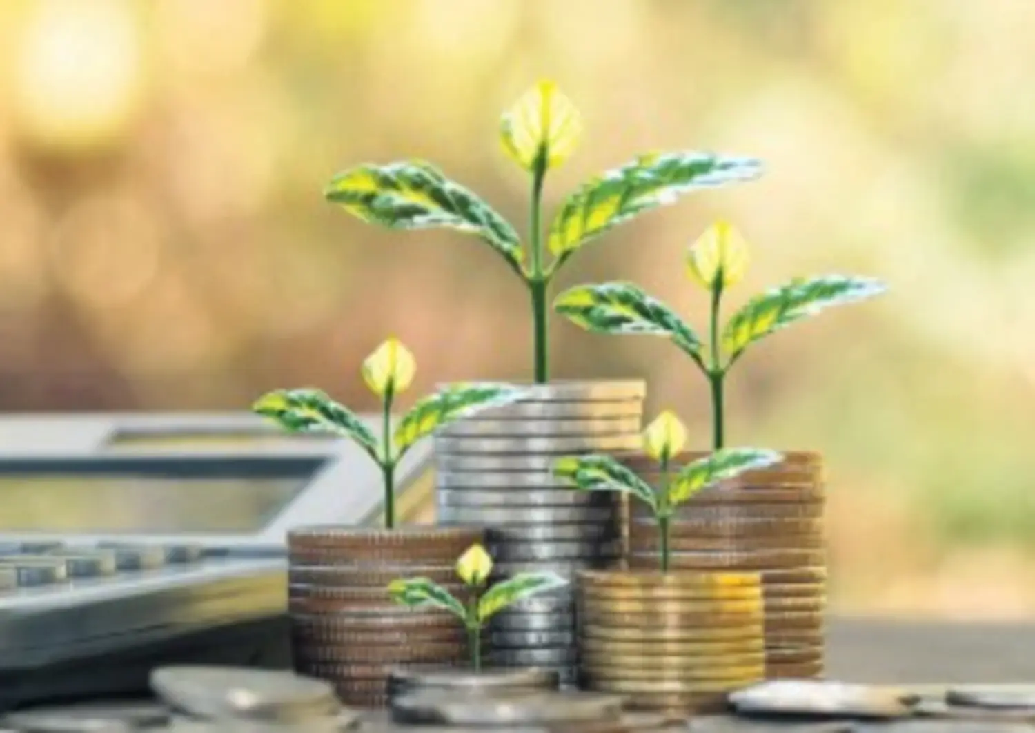 Business Image