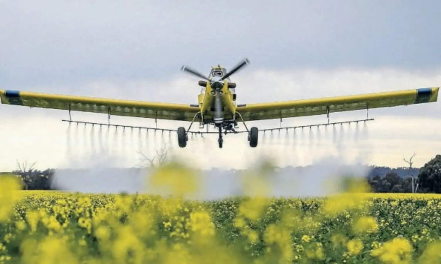 Business Image