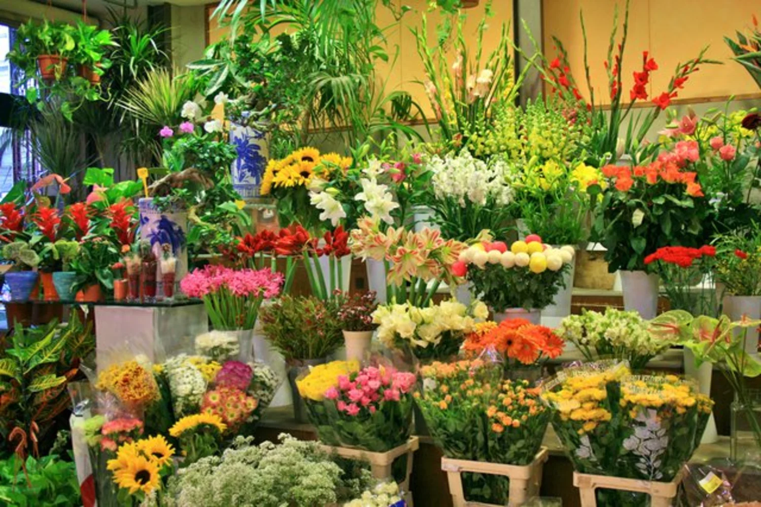 Business Image