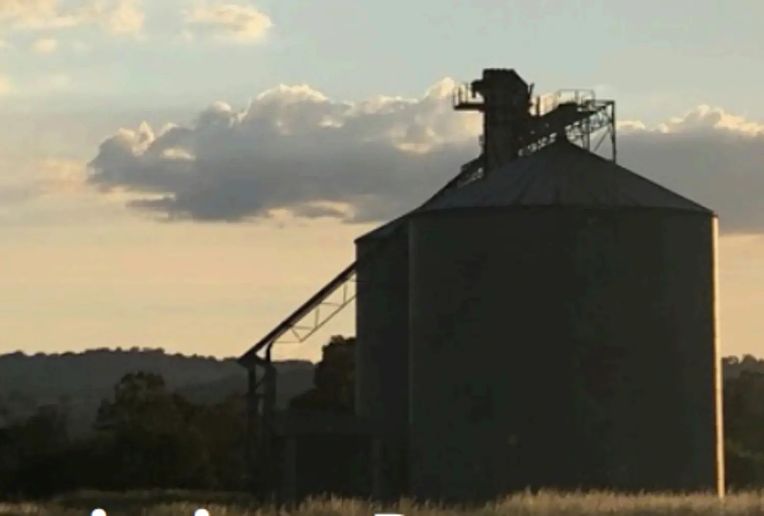 Business Image