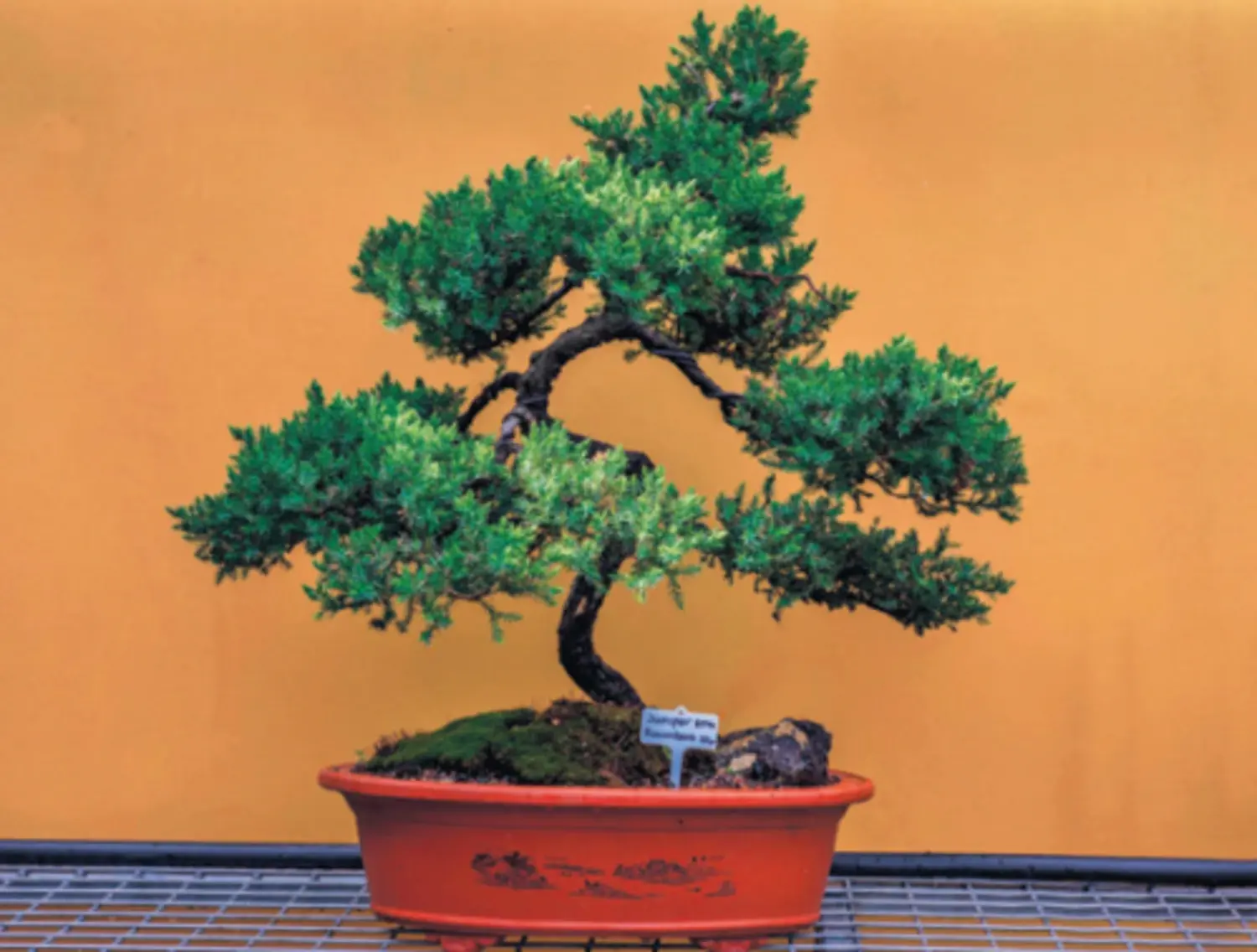 Business Image