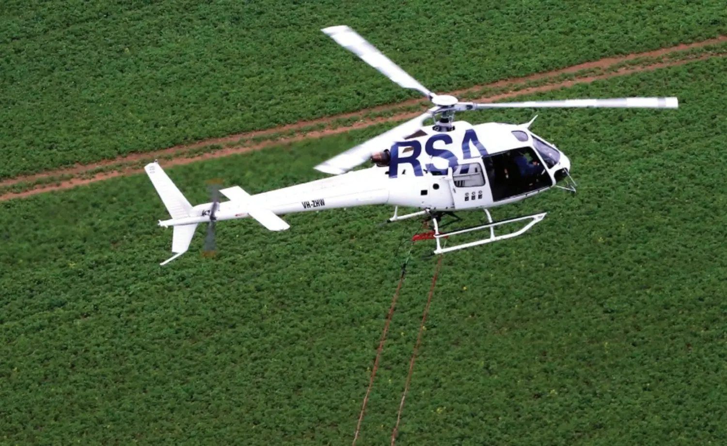 Business Image