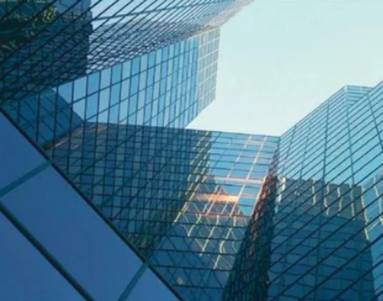 Business Image