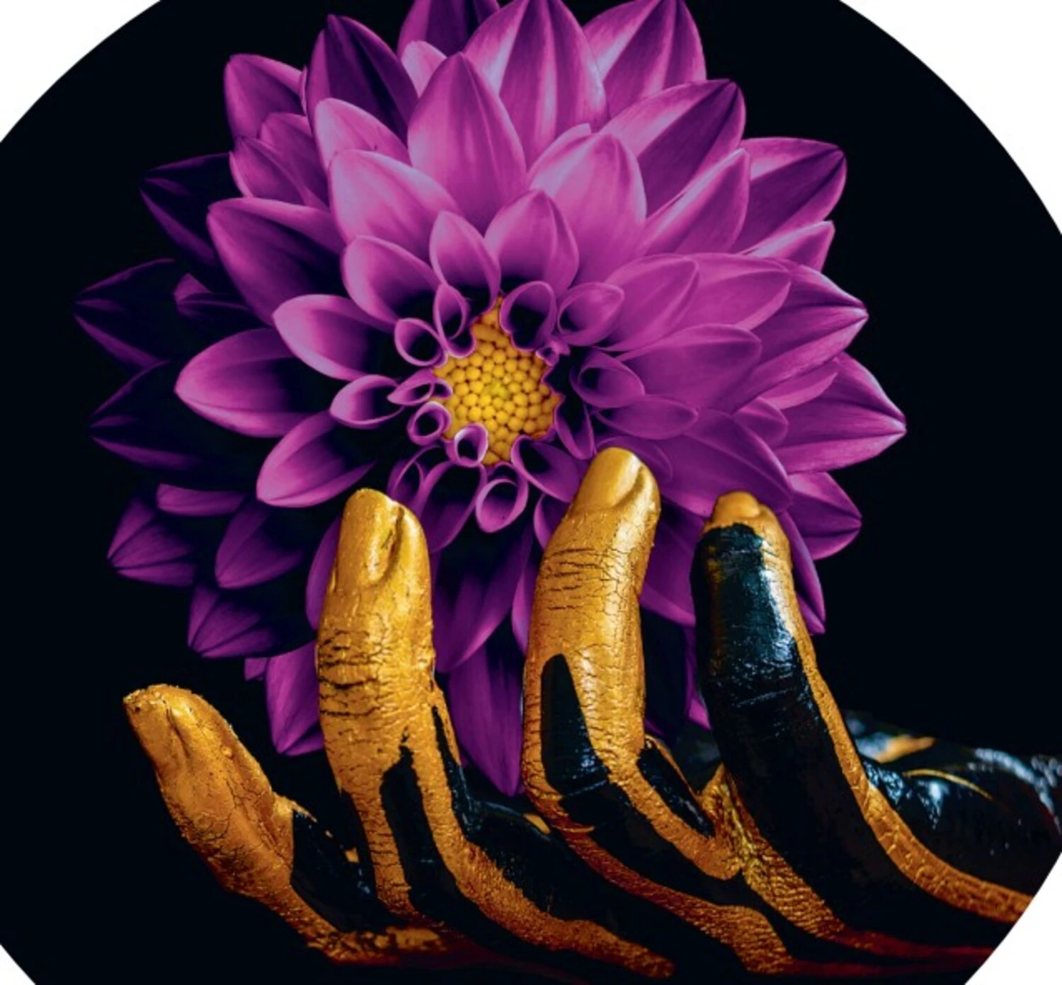 Business Image