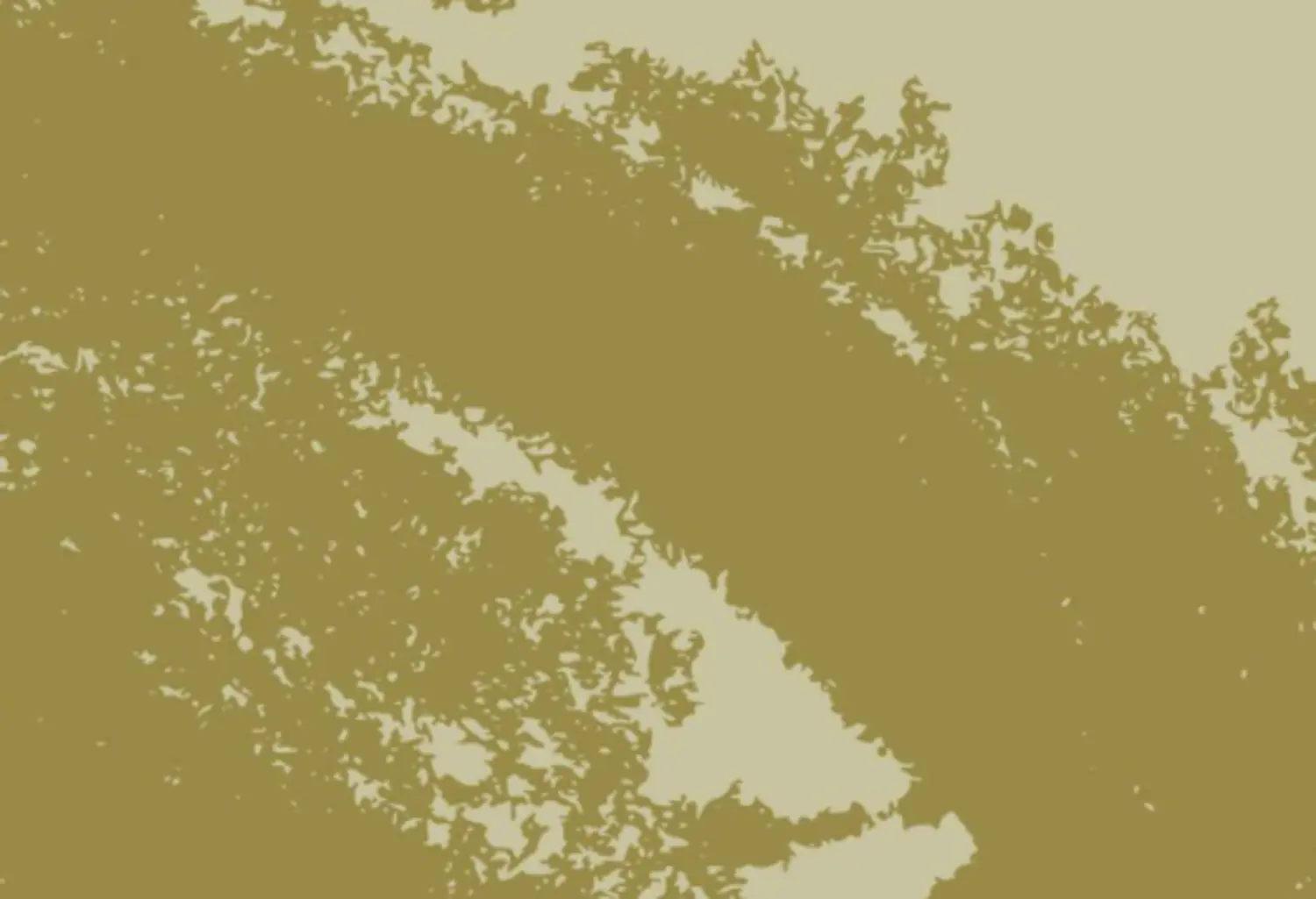 Business Image