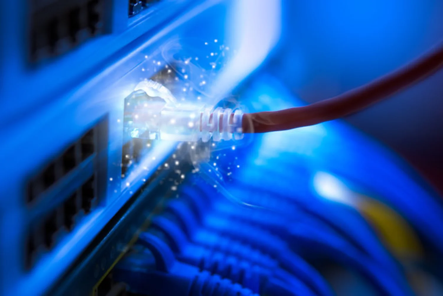 Business Image