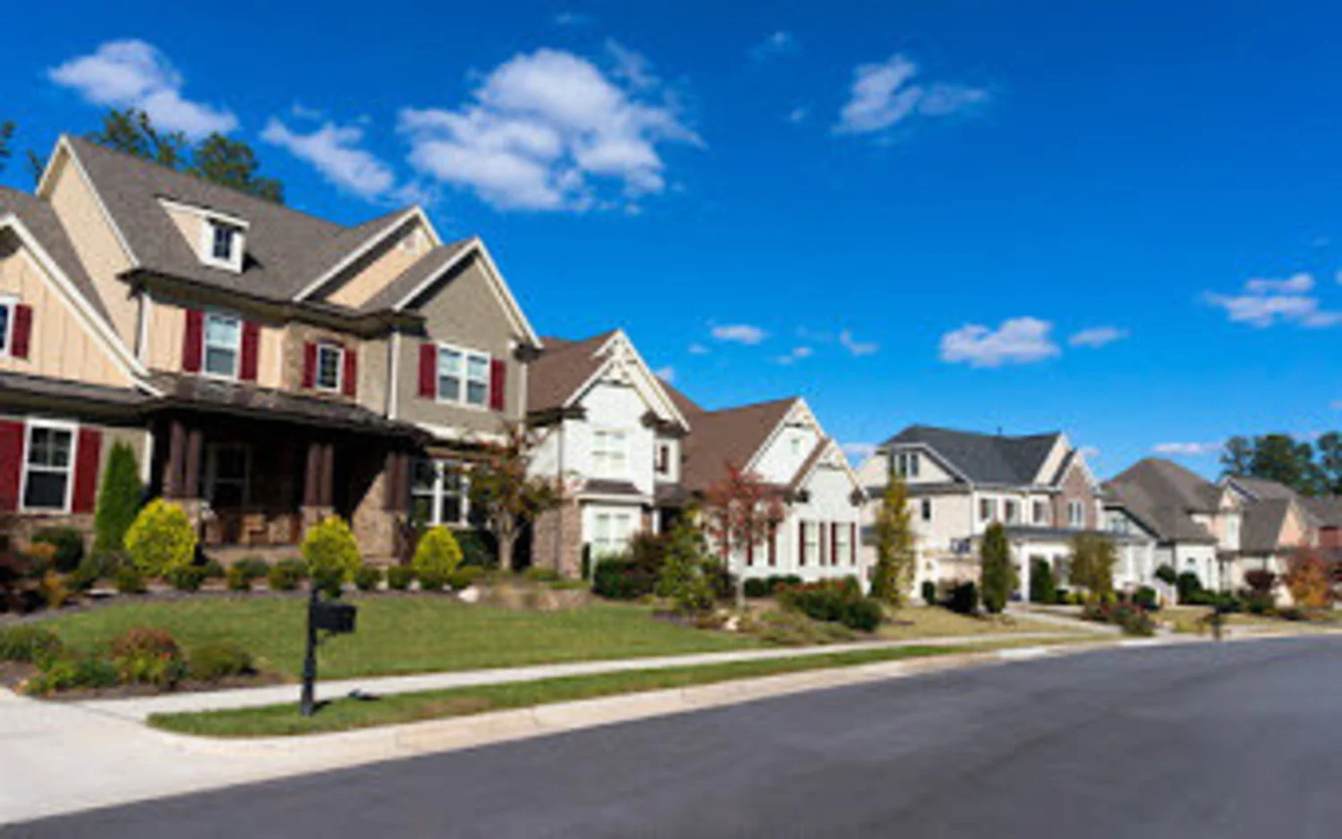 Business Image