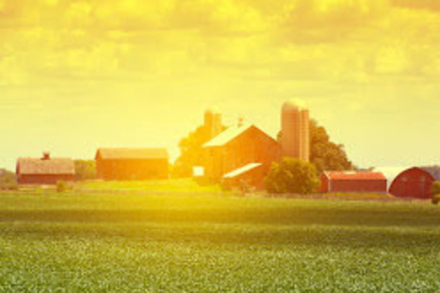 Business Image