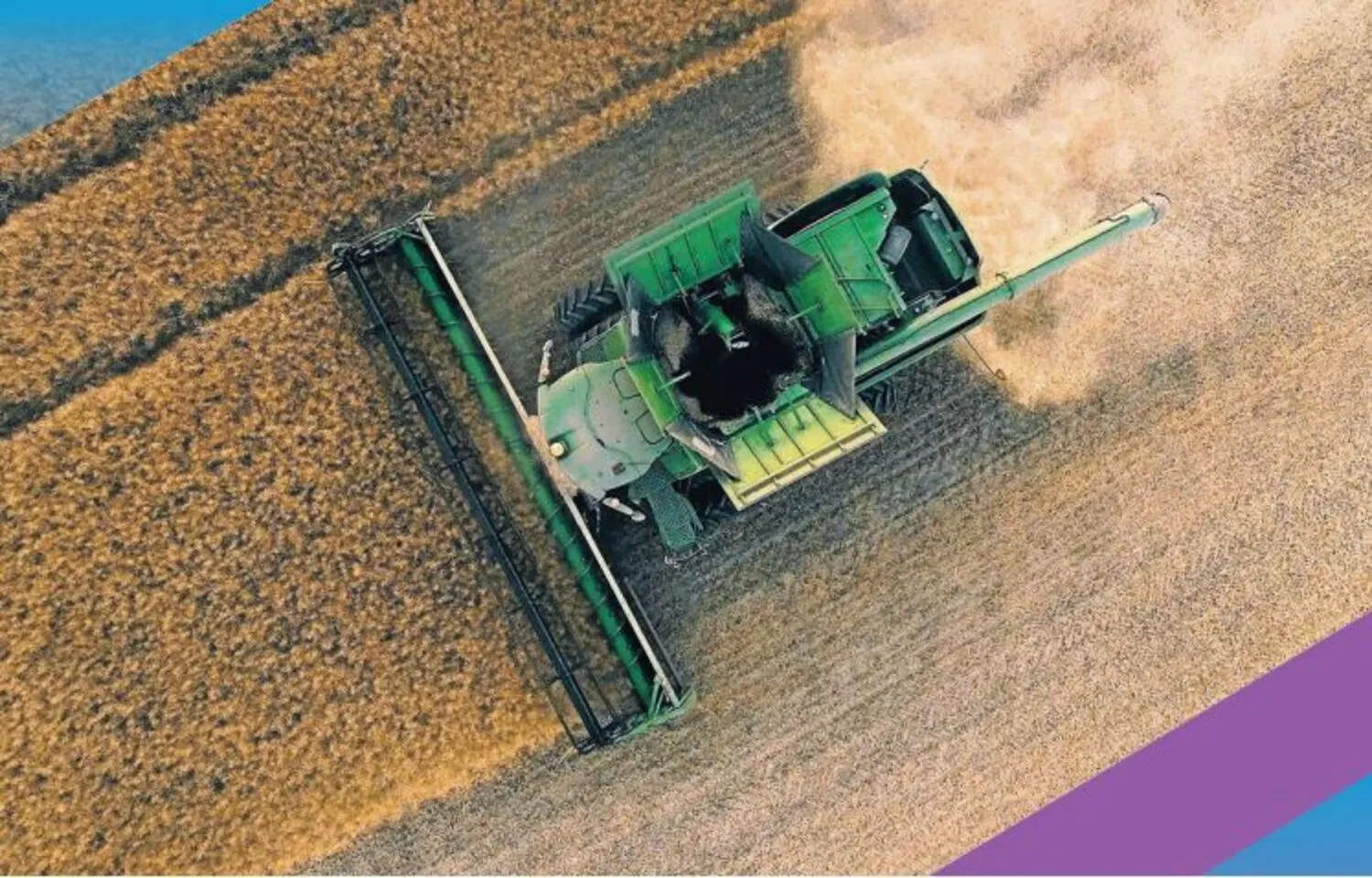 Business Image