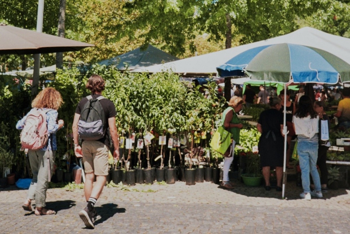 Business Image