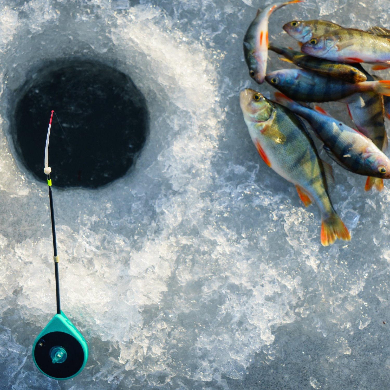 Enter Our 65th Annual Ice Fishing Contest Feb 1st Knife Lake