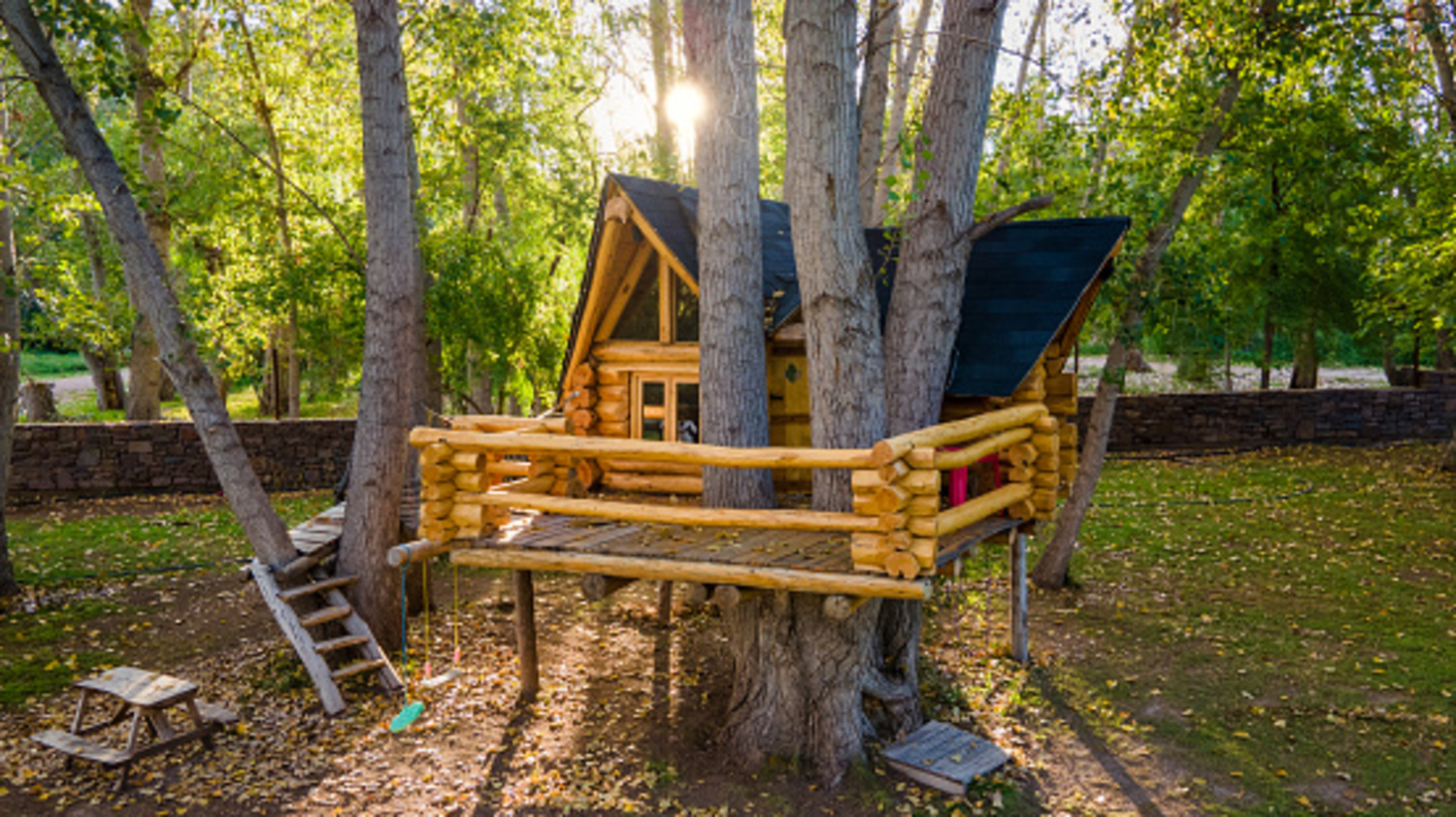 New Treehouse Opening on Arbor Day, April 29! South Dakota Discovery Center Capital Journal