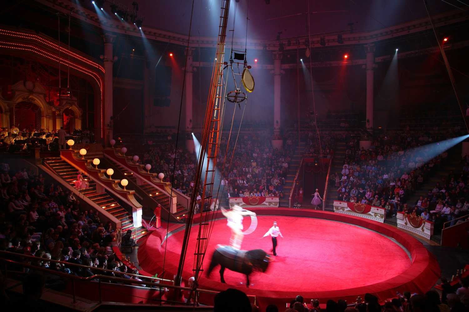 Amazing circus. Сибур Арена цирк Запашных. Арена цирка Кострома. Сибур Арена цирк 31. Circus Arena Стокгольм.