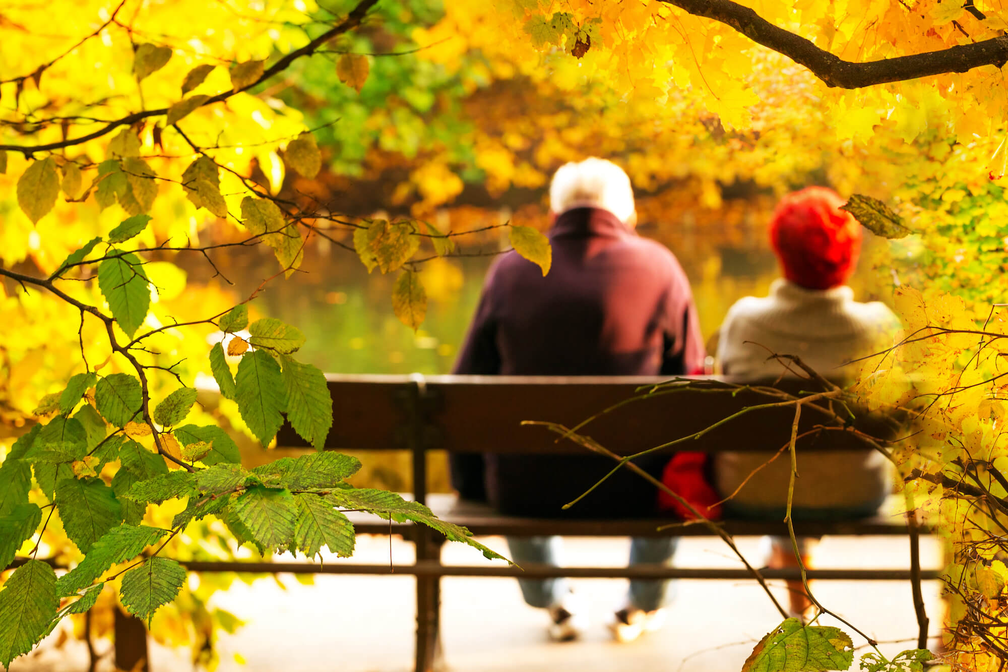 Размышления осени. Осень жизни. Пара на скамейке осенью. Пожилые люди осень. Пара на лавочке в осеннем парке.