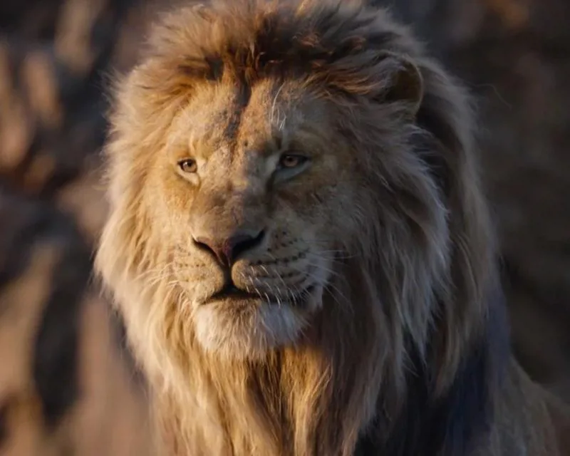 El Rey León nos dará una mirada más cercana a Mufasa con otra película de acción real