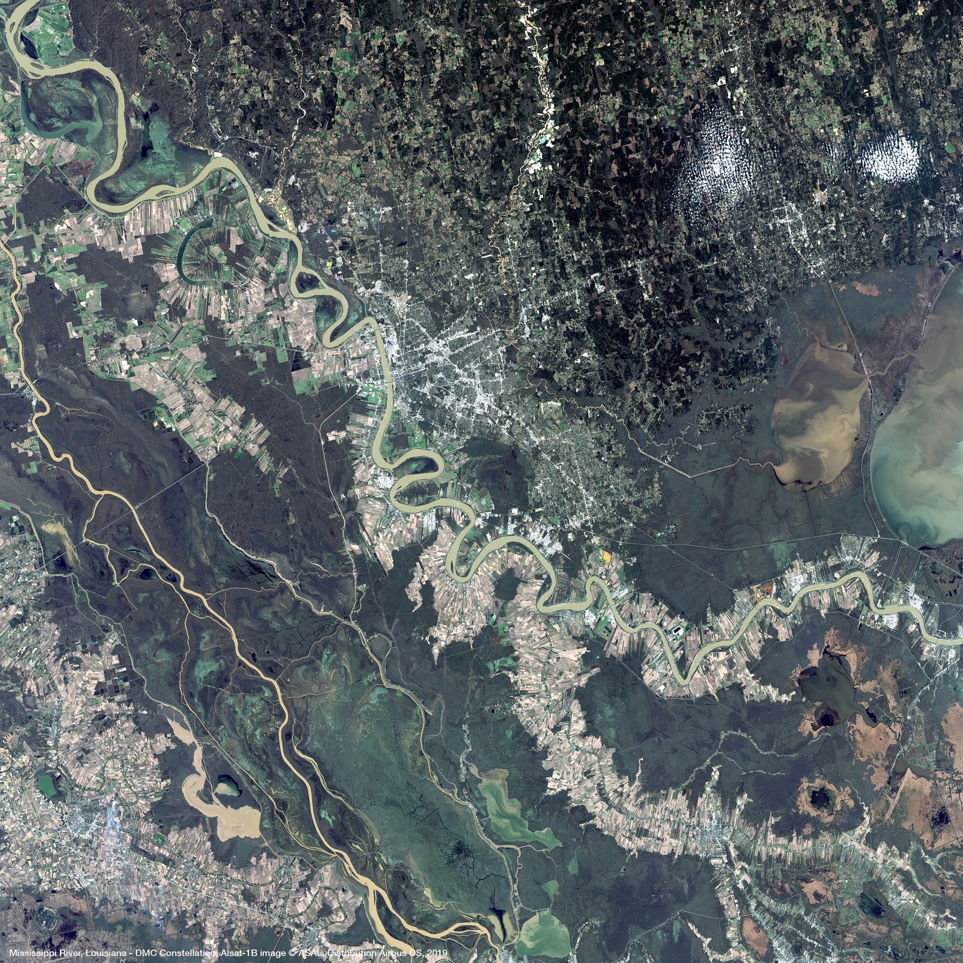 Louisiana, USA Satellite image from DMC Constellation Satellite Image RGB thumbnail