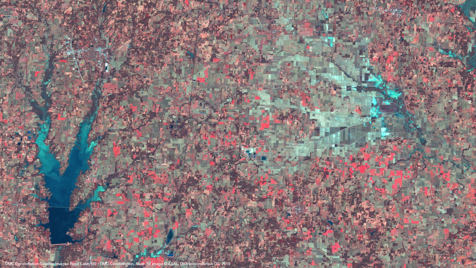 Rend Lake, United States Satellite image from DMC Constellation thumbnail