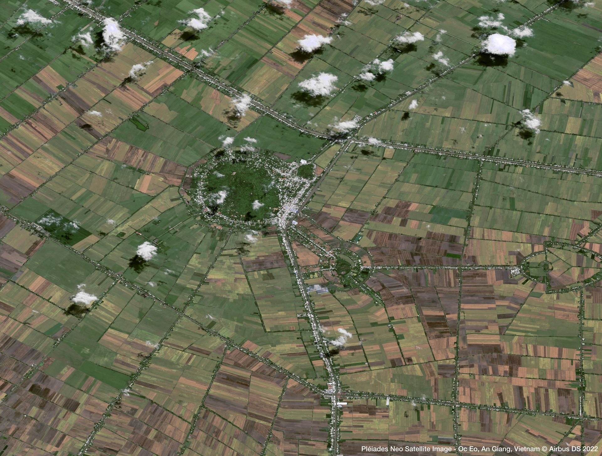 Rice Fields in Vietnam Satellite image from Pléiades Neo thumbnail