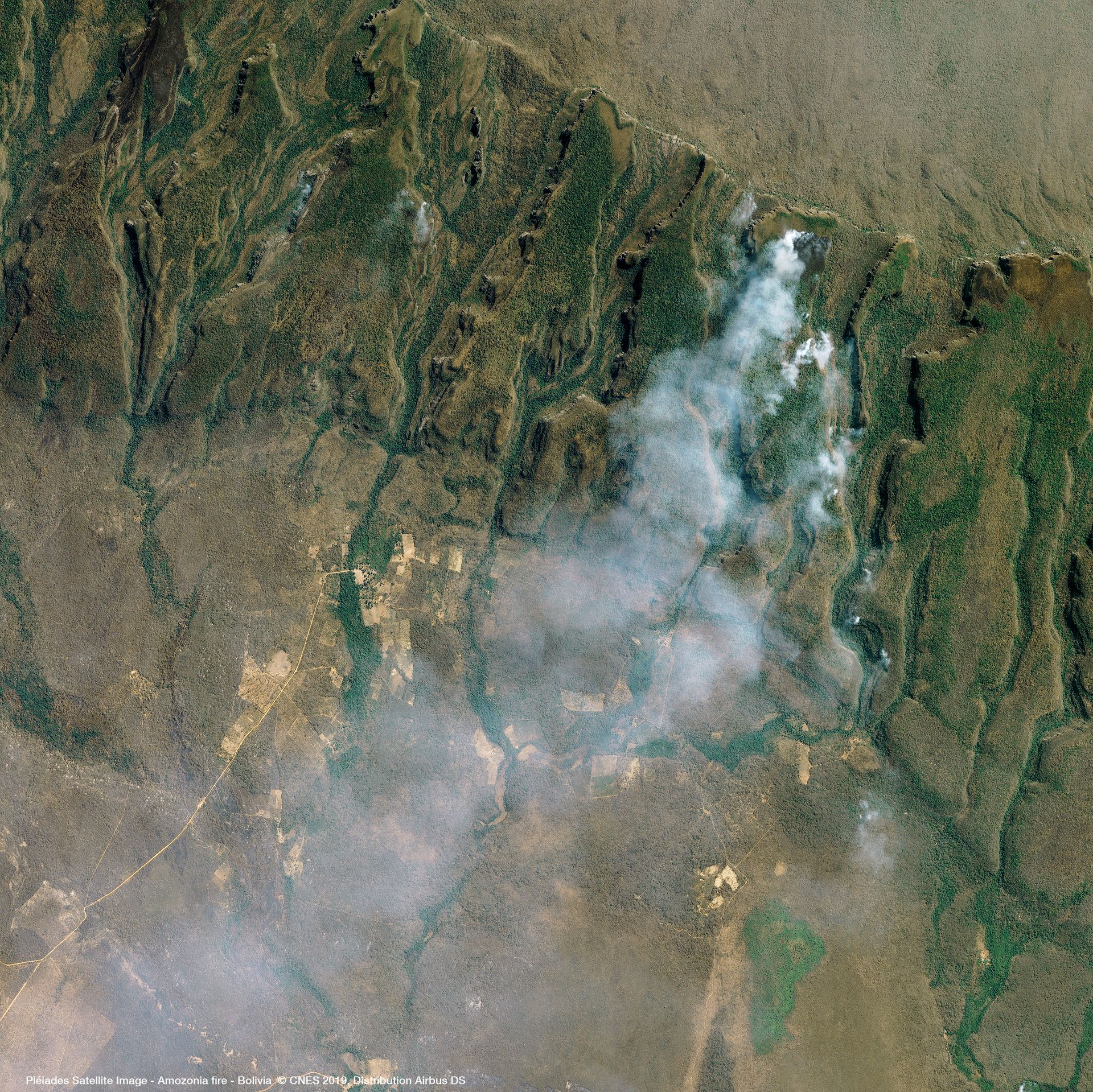 Amazon Rainforest Fire in Bolivia Satellite image from Pléiades thumbnail