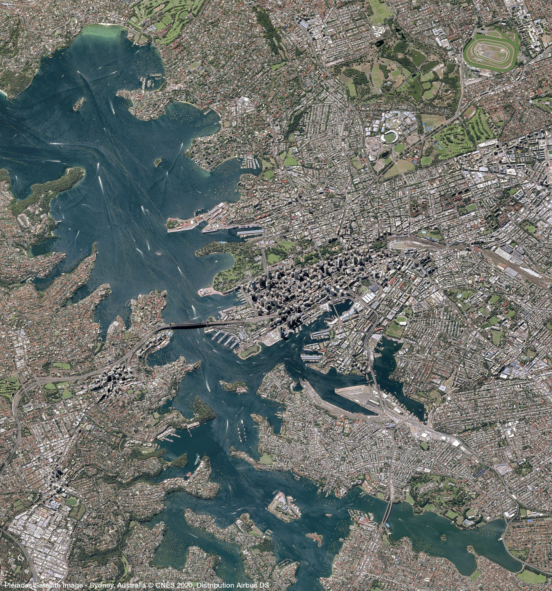 Sydney Harbour Satellite image from Pléiades thumbnail