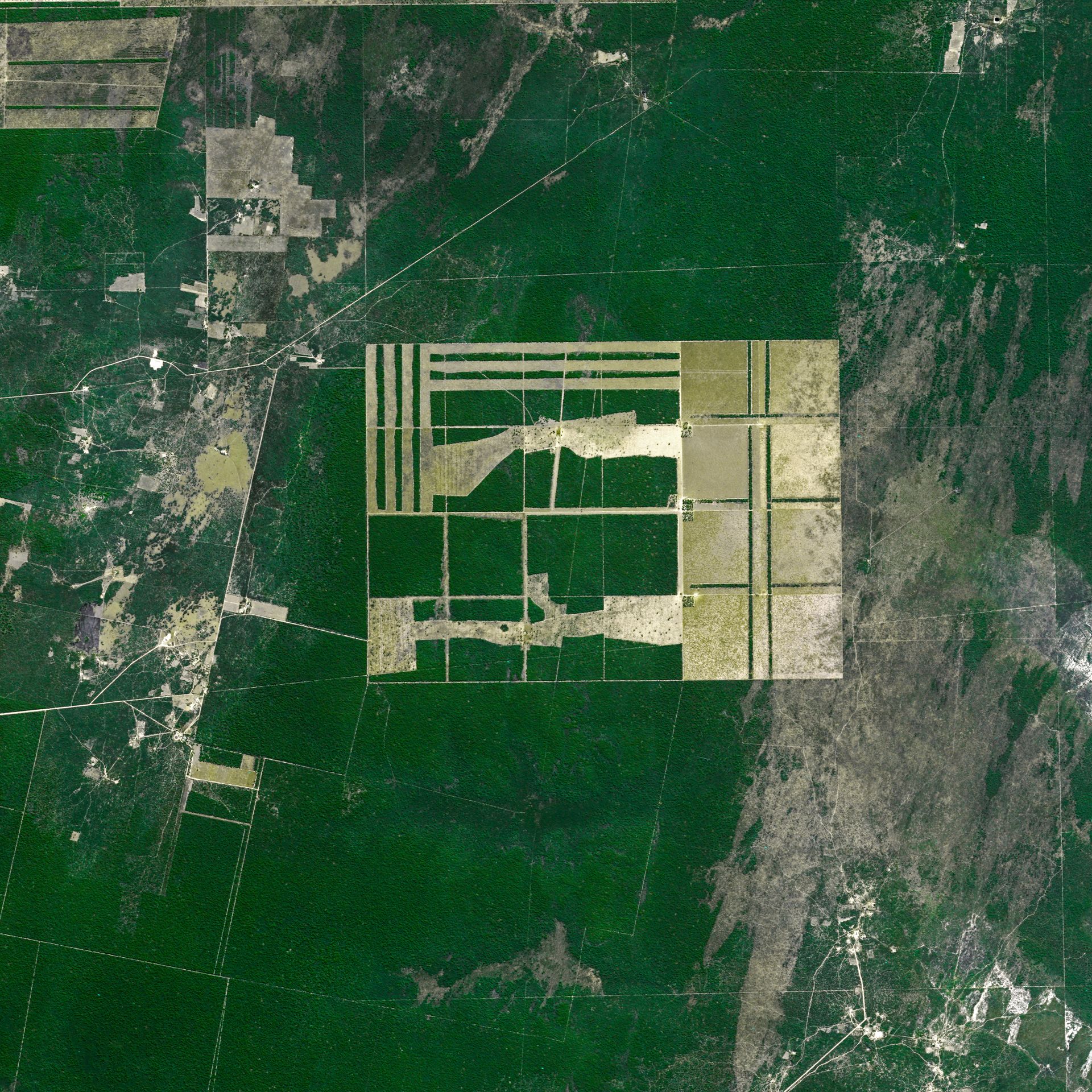 Santiago Del Estero, Argentina, Deforestation Satellite Imagery thumbnail