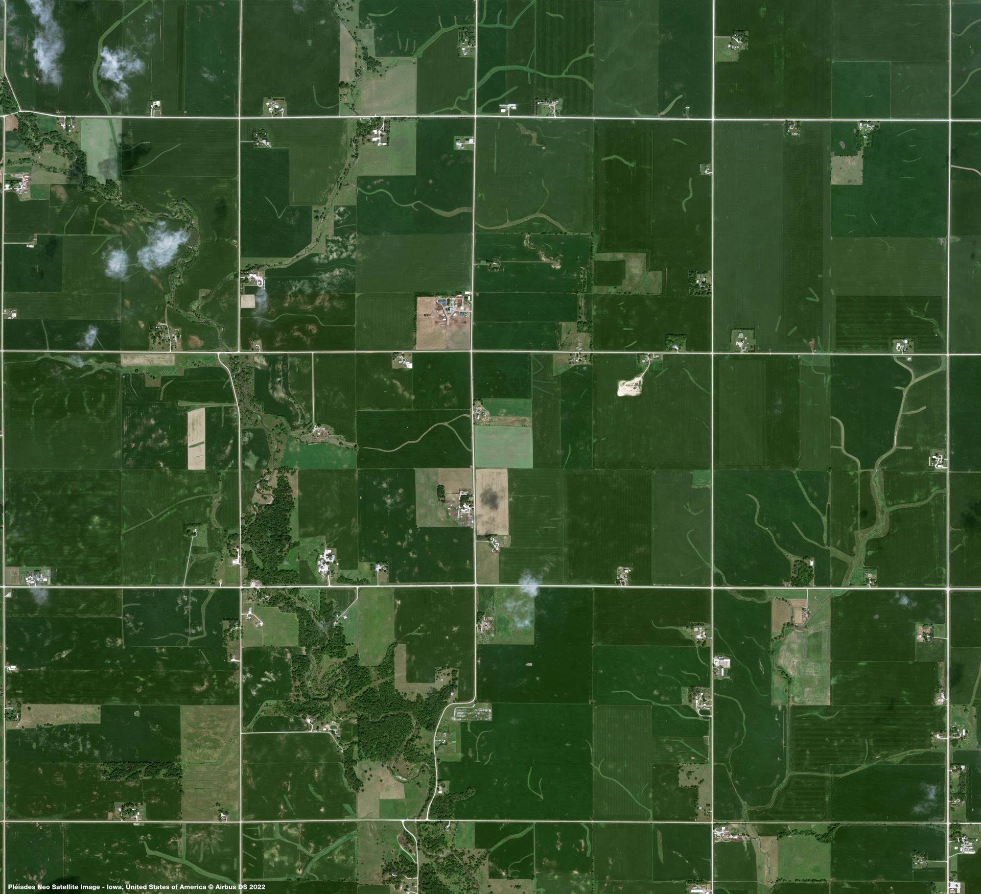 Corn Fields in Iowa Very High-Resolution Imagery thumbnail