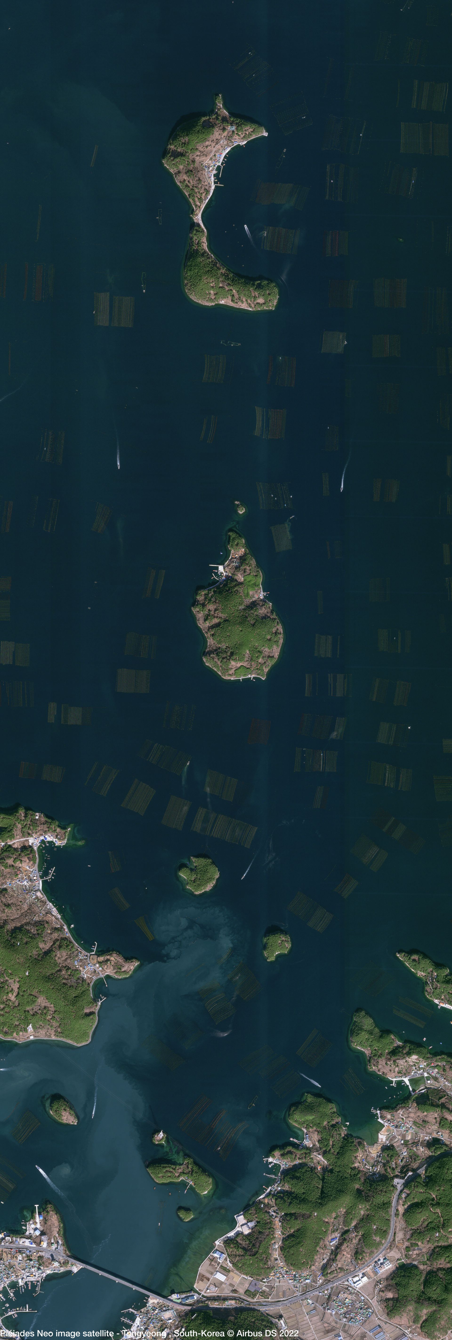 Oysters from South Korea Satellite image from Pléiades Neo thumbnail