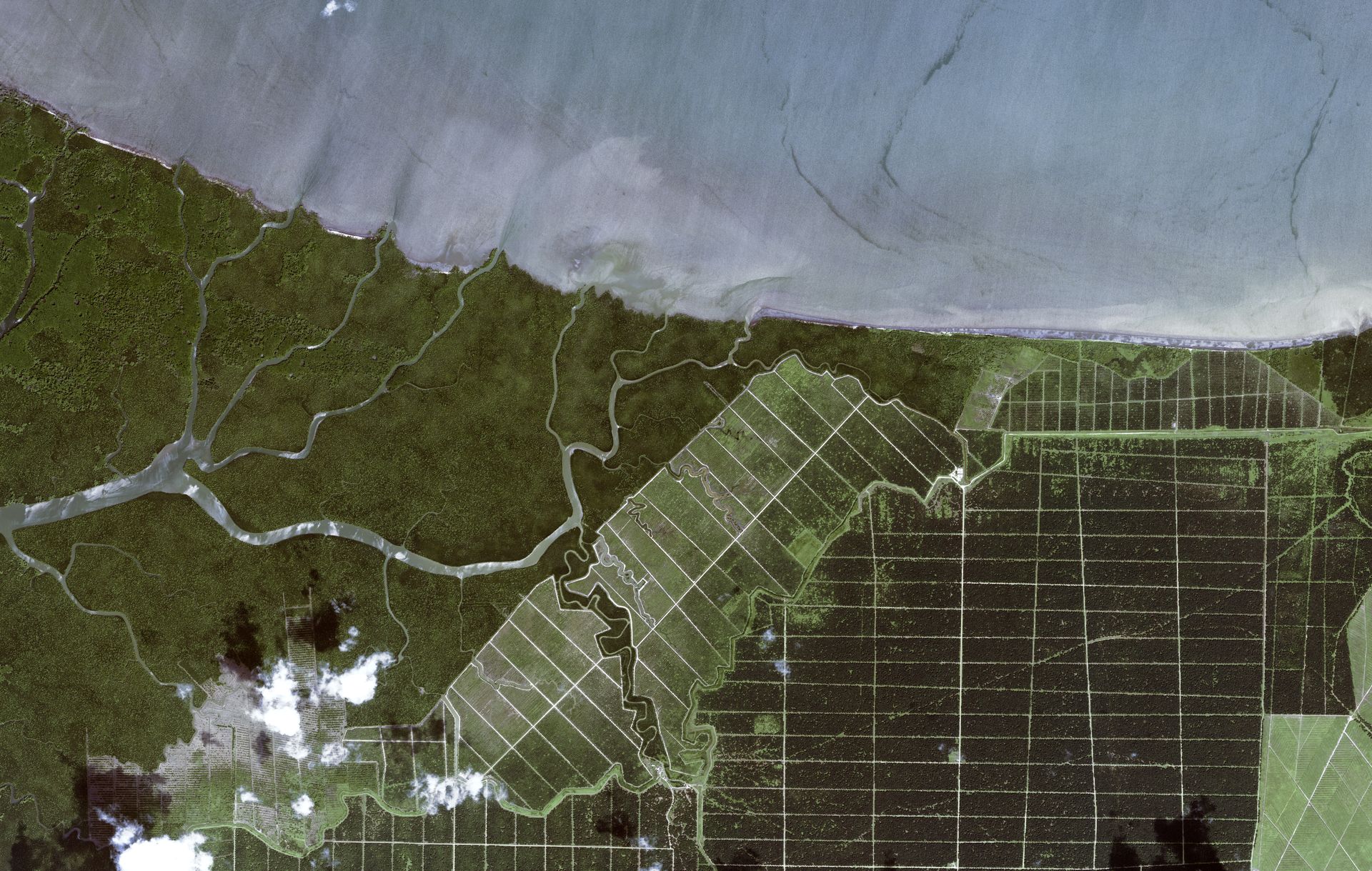 Kuala Maruap, Malaysia, Deforestation Very High-Resolution Imagery thumbnail