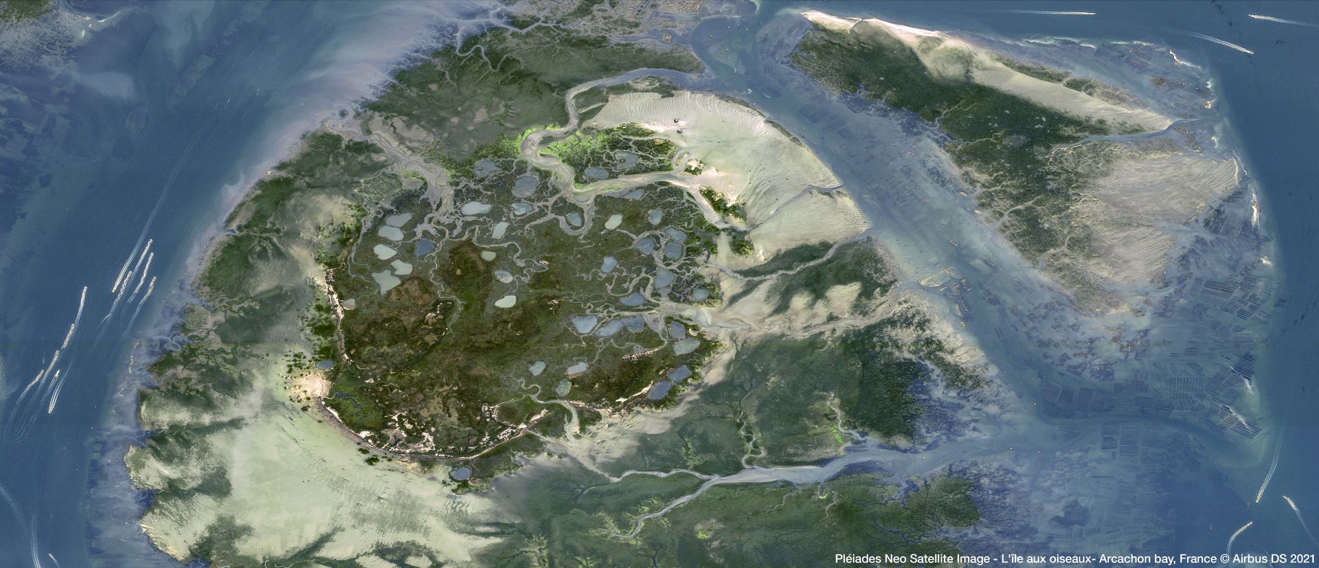 L’île aux Oiseaux, France Satellite image from Pléiades Neo thumbnail