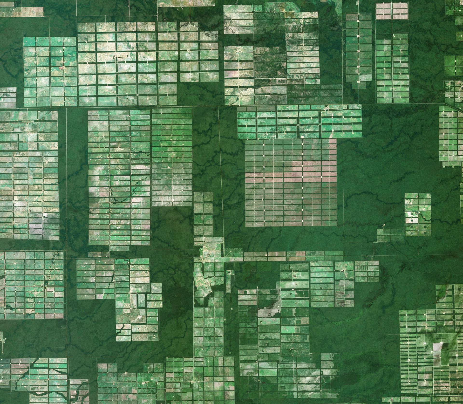 Bolivia, Deforestation Satellite Imagery thumbnail
