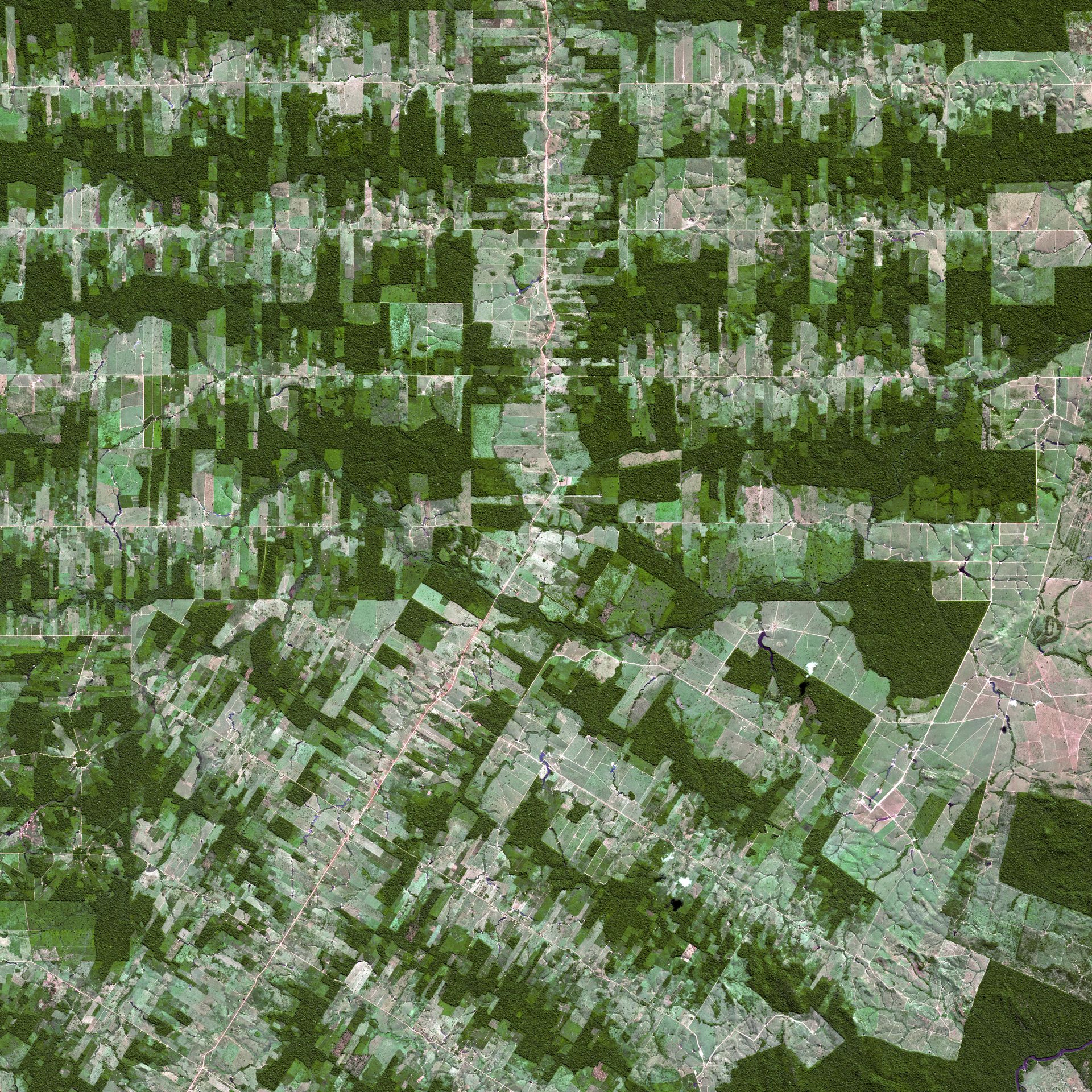 Rio Claro, Brazil, Deforestation Satellite Imagery thumbnail