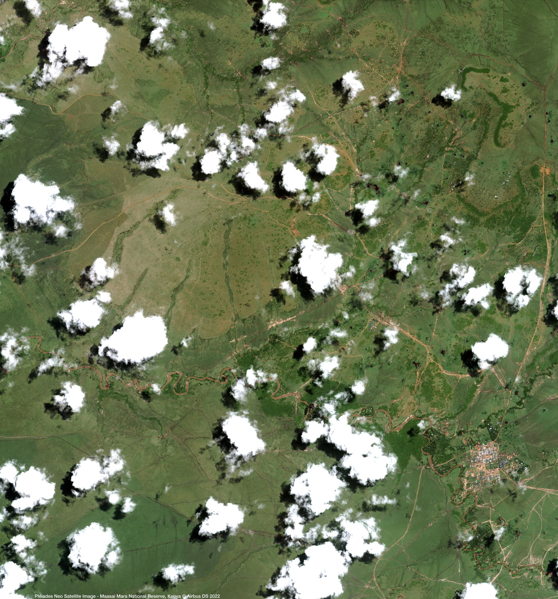 Maasai Mara National Reserve, Kenya Satellite image from Pléiades Neo thumbnail