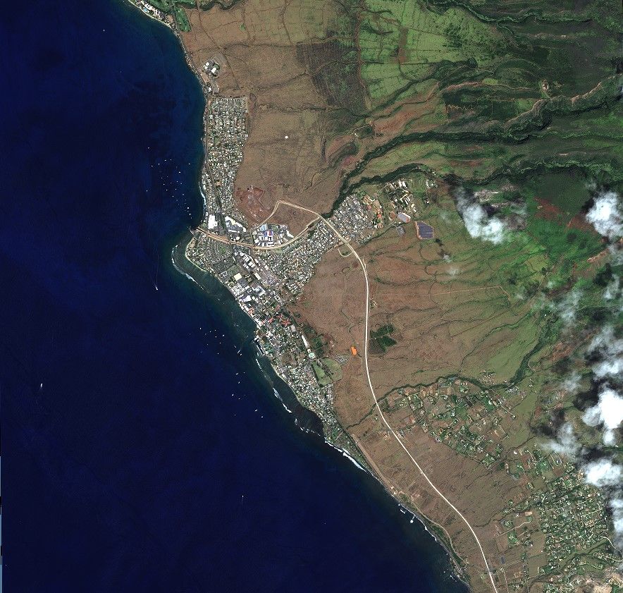 Lahana evolution 1 year post fire April 2023 6 before.jpg Lahana evolution 1 year post fire April 2023 6 before.jpg