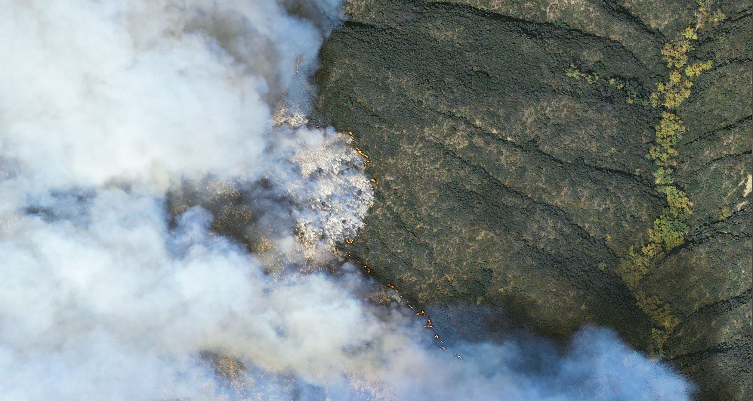 Wildfire_banner_ESA-TPM.jpg Wildfire_banner_ESA-TPM.jpg