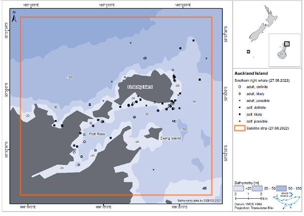 Bathymetric map of whales distribution Bathymetric map of whales distribution